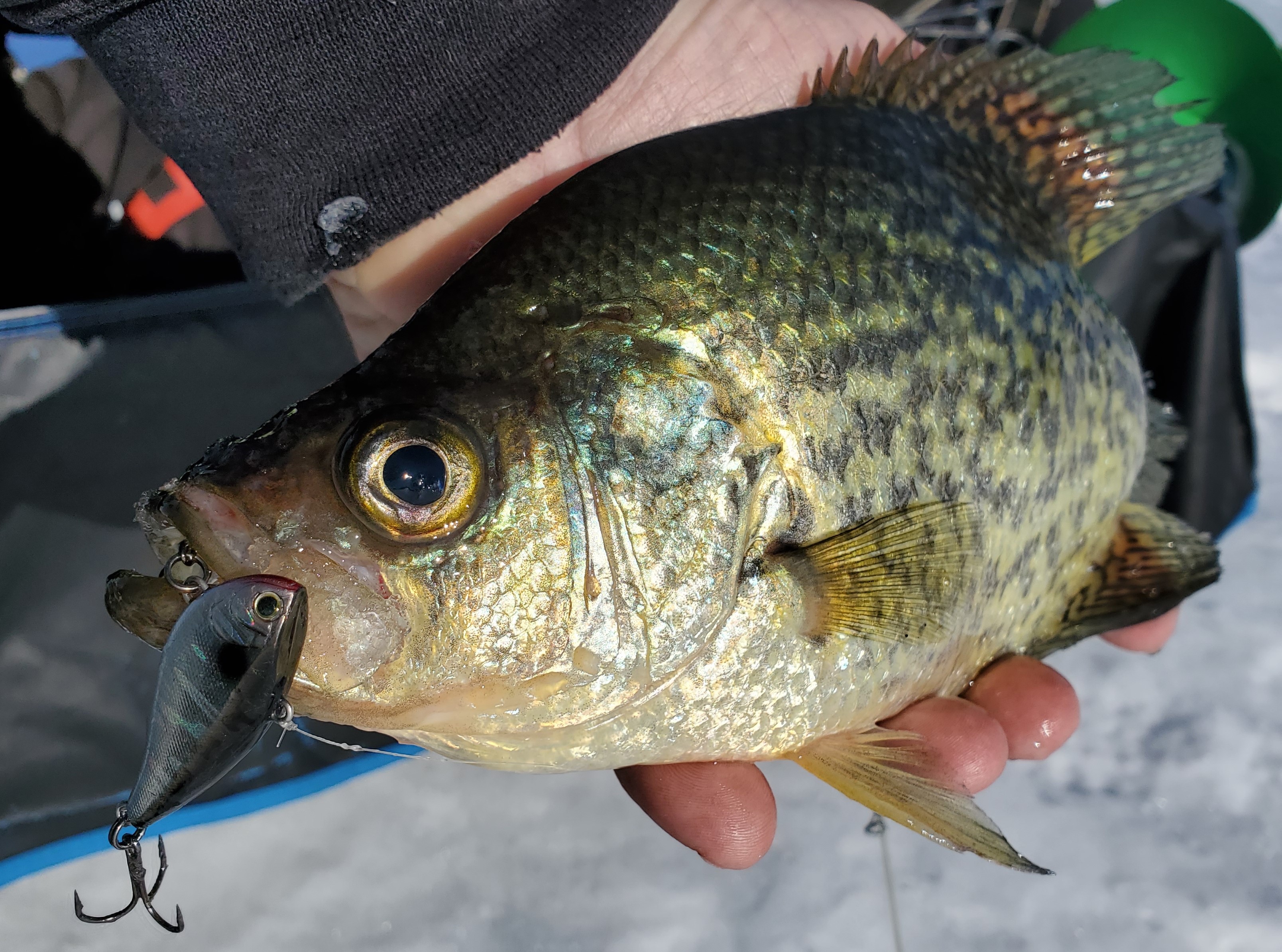 Top 10 Panfish Ice Lures of All Time - In-Fisherman