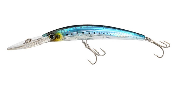 SARDINE