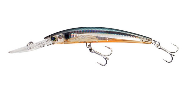  TENNESSEE SHAD