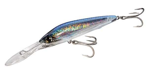 BLUE MACKEREL