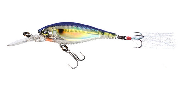 PRISM SEXY SHAD