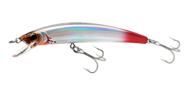 BLEEDING GHOST SHAD