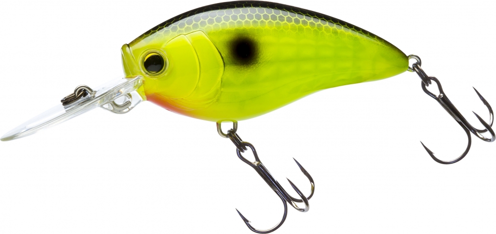 BLACK BACK CHARTREUSE