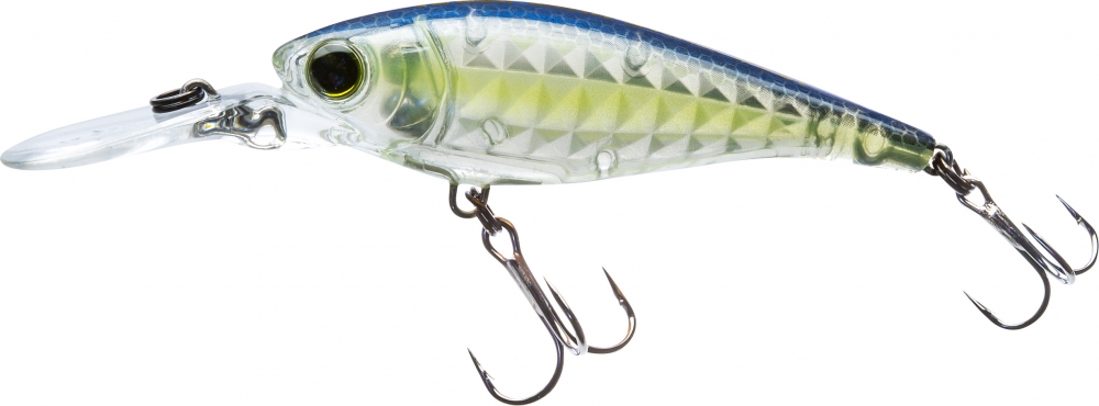 GHOST SEXY SHAD