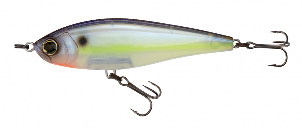 GHOST SEXY SHAD