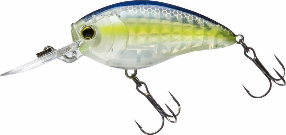 GHOST SEXY SHAD