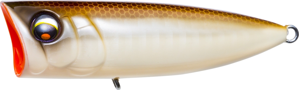 Bone