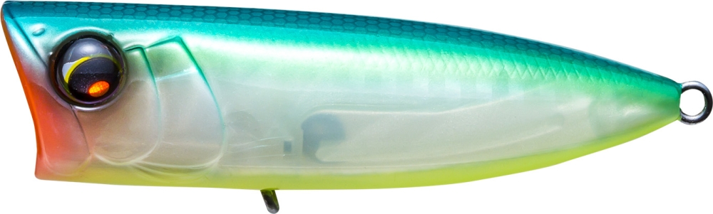 Citrus Shad
