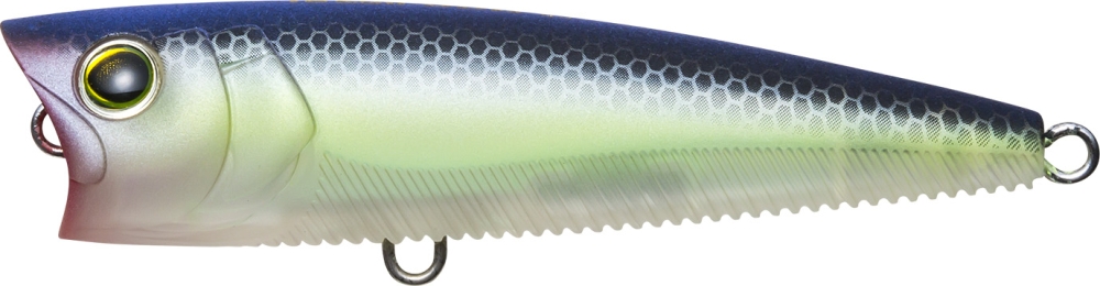 MATTE GHOST SEXY SHAD