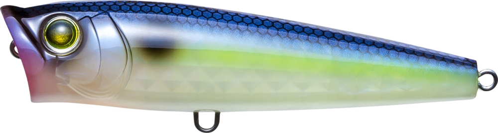 GHOST SEXY SHAD