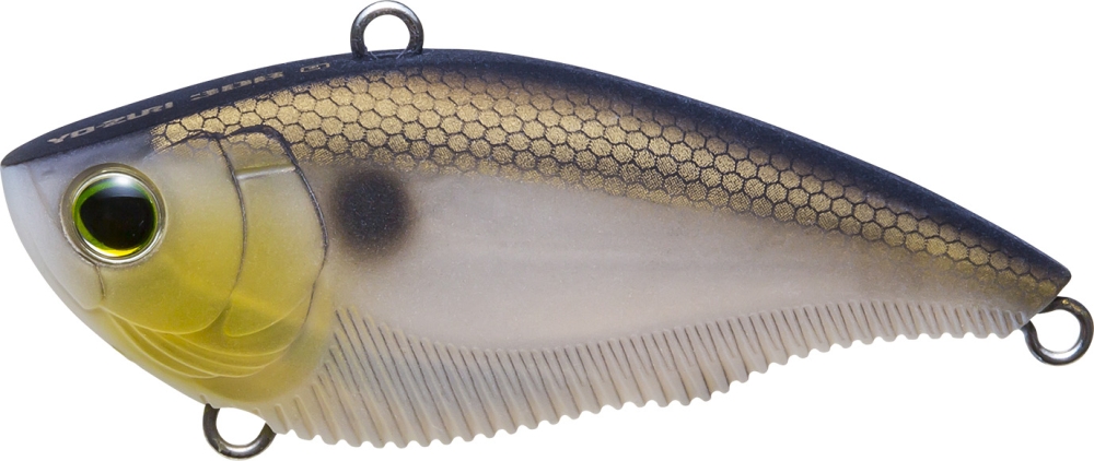 MATTE GIZZARD SHAD
