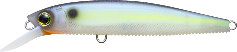 MATTE SEXY SHAD