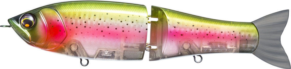 Rainbow Trout