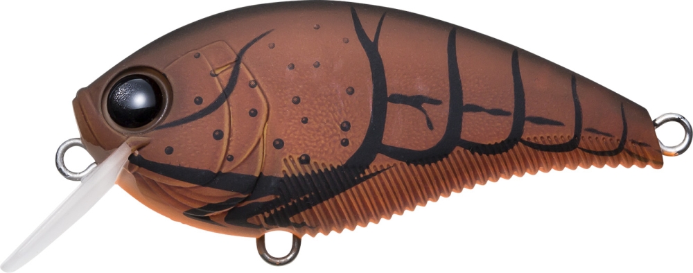 MATTE TRANSLUCENT BROWN CRAWFISH