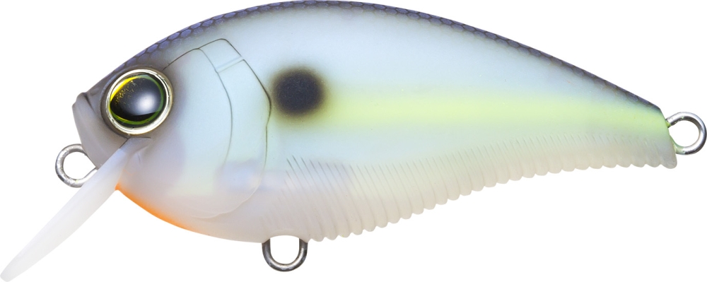 MATTE SEXY SHAD