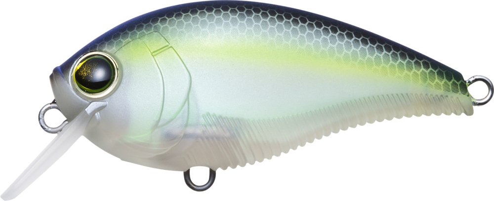 MATTE GHOST SEXY SHAD