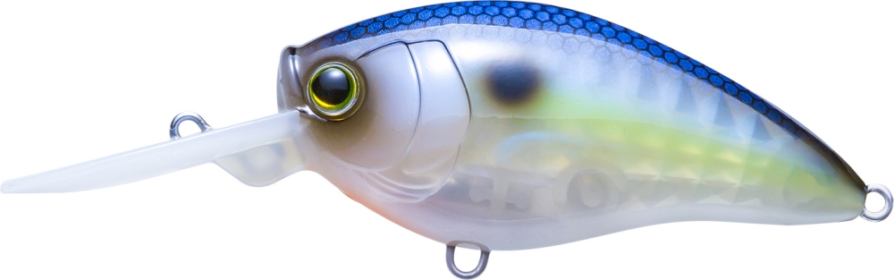 GHOST SEXY SHAD