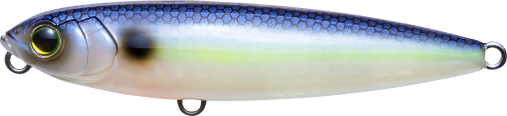 GHOST SEXY SHAD