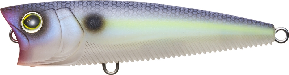 MATTE SEXY SHAD