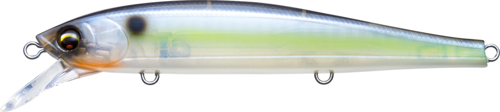GHOST SEXY SHAD