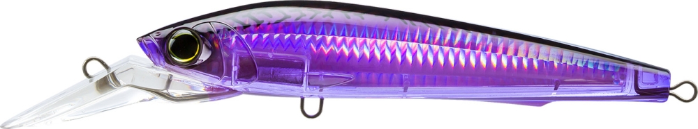 MIDNIGHT MACKEREL