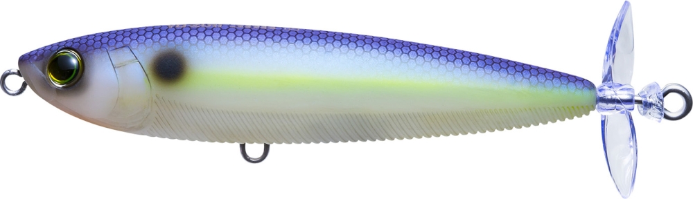 MATTE SEXY SHAD