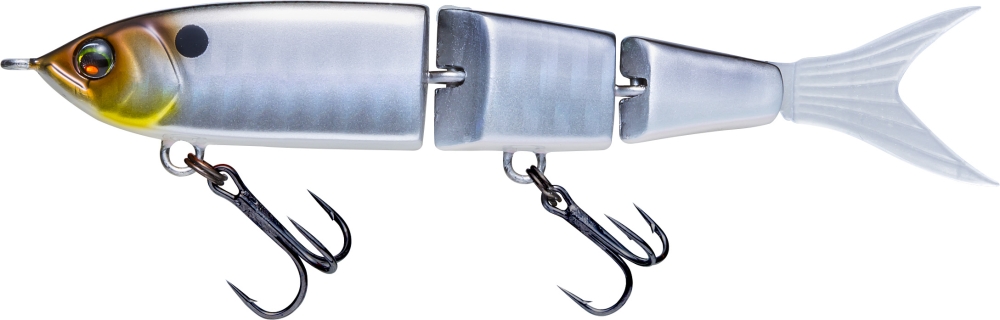 Gizzard Shad