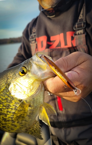 Tie Two Jigs on ONE Line for Fall Crappie (Fall Crappie Fishing